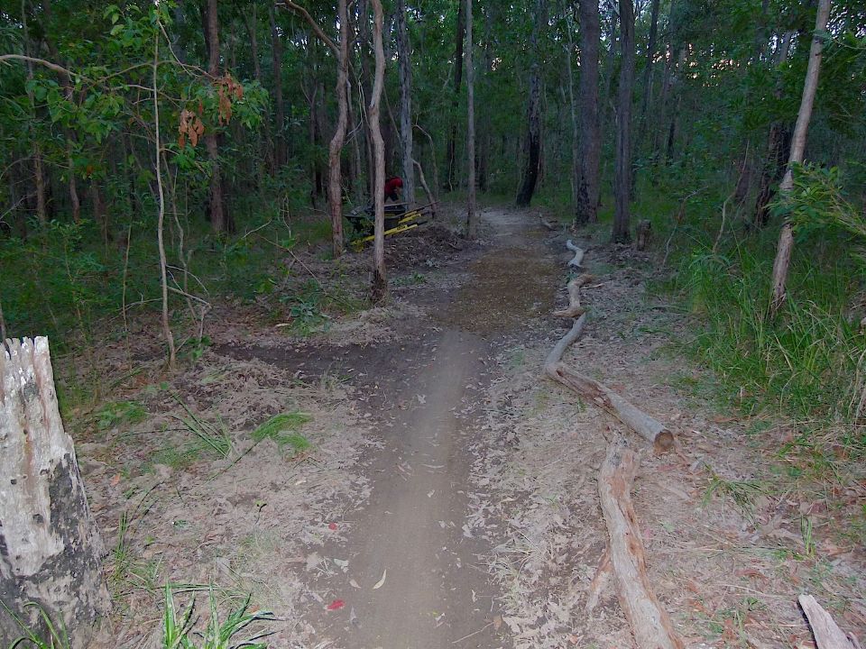 P1160358.jpg